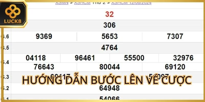 Chuyên gia hướng dẫn các bước lên vé cược